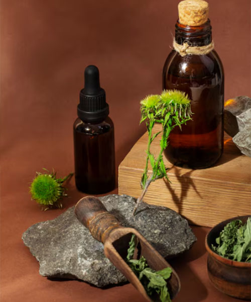 herbal-service-1