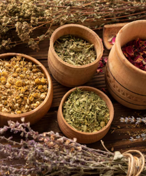 herbal-service-2